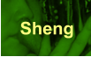 Sheng