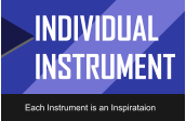 INDIVIDUAL INSTRUMENT Each Instrument is an Inspirataion