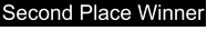 Second Place Winner